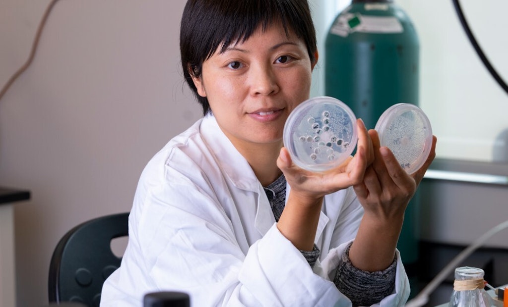 A Novel Approach for Removing Microplastics From Water