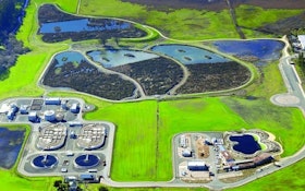 California's Mouse-Shaped Wetlands Cleans Effluent and Provides Habitat