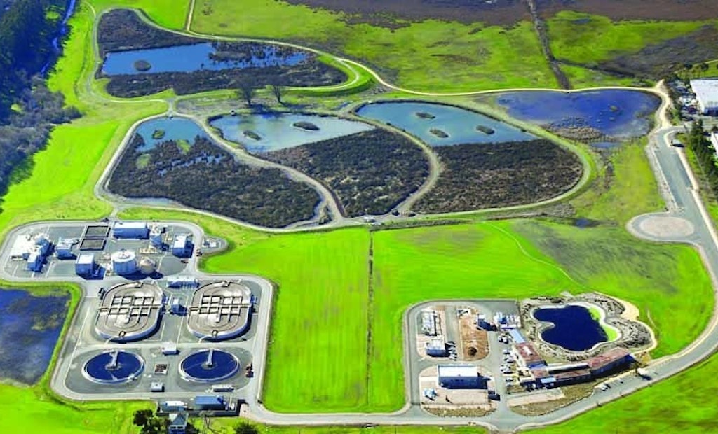 California's Mouse-Shaped Wetlands Cleans Effluent and Provides Habitat