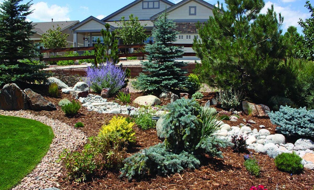 Xeric Landscaping Plays a Vital Role in Water Conservation in This Rocky Mountain State City