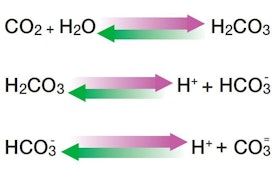 Advantages of Carbon Dioxide Replacing Acid to Reduce pH