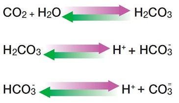 Advantages of Carbon Dioxide Replacing Acid to Reduce pH