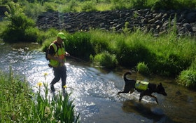 Leak Detectives: Dogs Sniff Out Failing Wastewater Systems