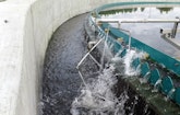 A New and Innovative Way to Keep Weirs Free of Troublesome Green Stuff