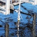 Sensors - Hawk Measurement ORCA Sonar Bed Level transducer