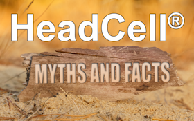 HeadCell Myths and Facts
