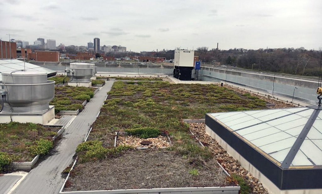 Rooftop Plantings, Storm Drain Painting and Residential Rain Barrels Help Control Runoff in Richmond