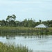 More Than 170 Species of Bird Visit This Wastewater Plant