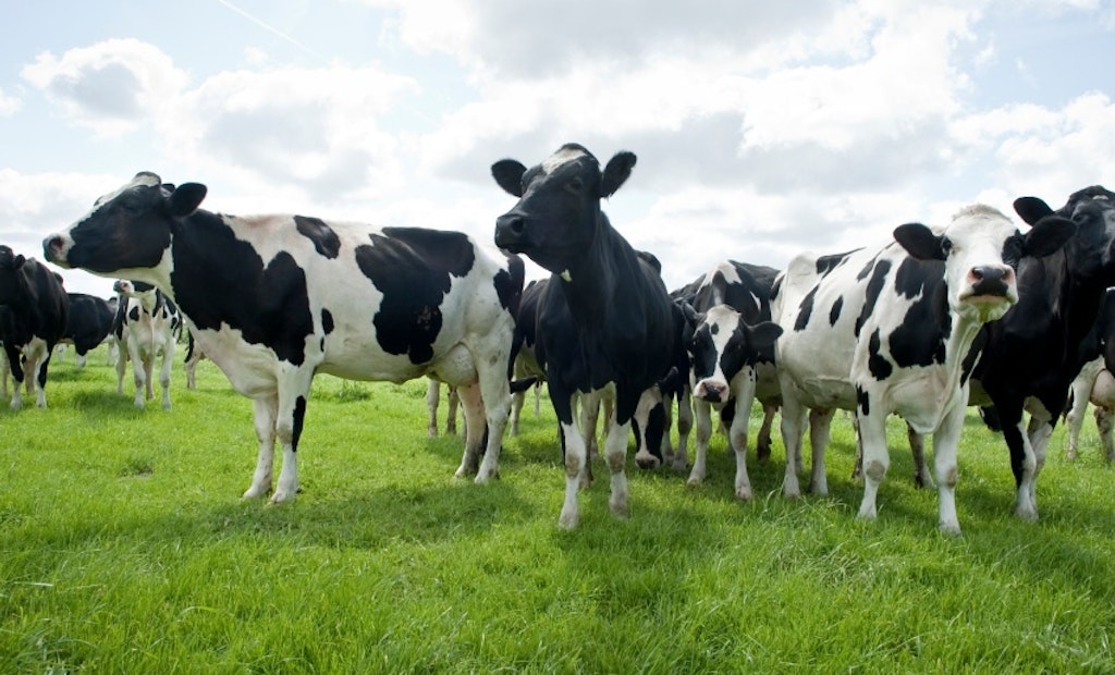 National Association of Clean Water Agencies Partners with National Milk Producers Federation
