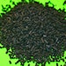 Lagoons - Jacobi Carbons activated carbon