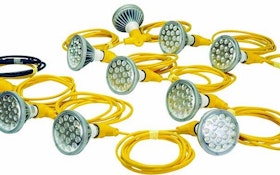 Larson Electronics LED light string
