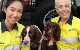 Utility Invests in Australia’s First Water Leak Detection Dog