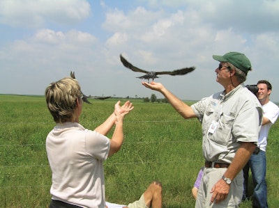 How a Florida Utility Combines Wastewater Treatment With Raptor Rehabilitation