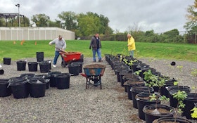 WWTP Operator Spearheads Effort to Create Tree Farm at Plant