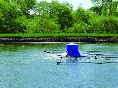 Biodredging Promises Affordable Alternative for Lagoon Maintenance