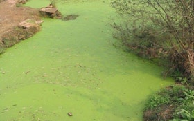 Phosphorus Pollution Reaching Dangerous Levels Worldwide, Study Finds 