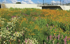 Redirecting Water to Create a Sustainable Plant Environment