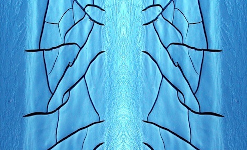 Squiggles & Cracks: Operator Creates Biosolids Art Photography