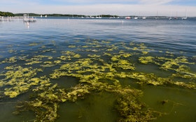 UW-Madison and Extension Collaborate on Wisconsin's Water Quality